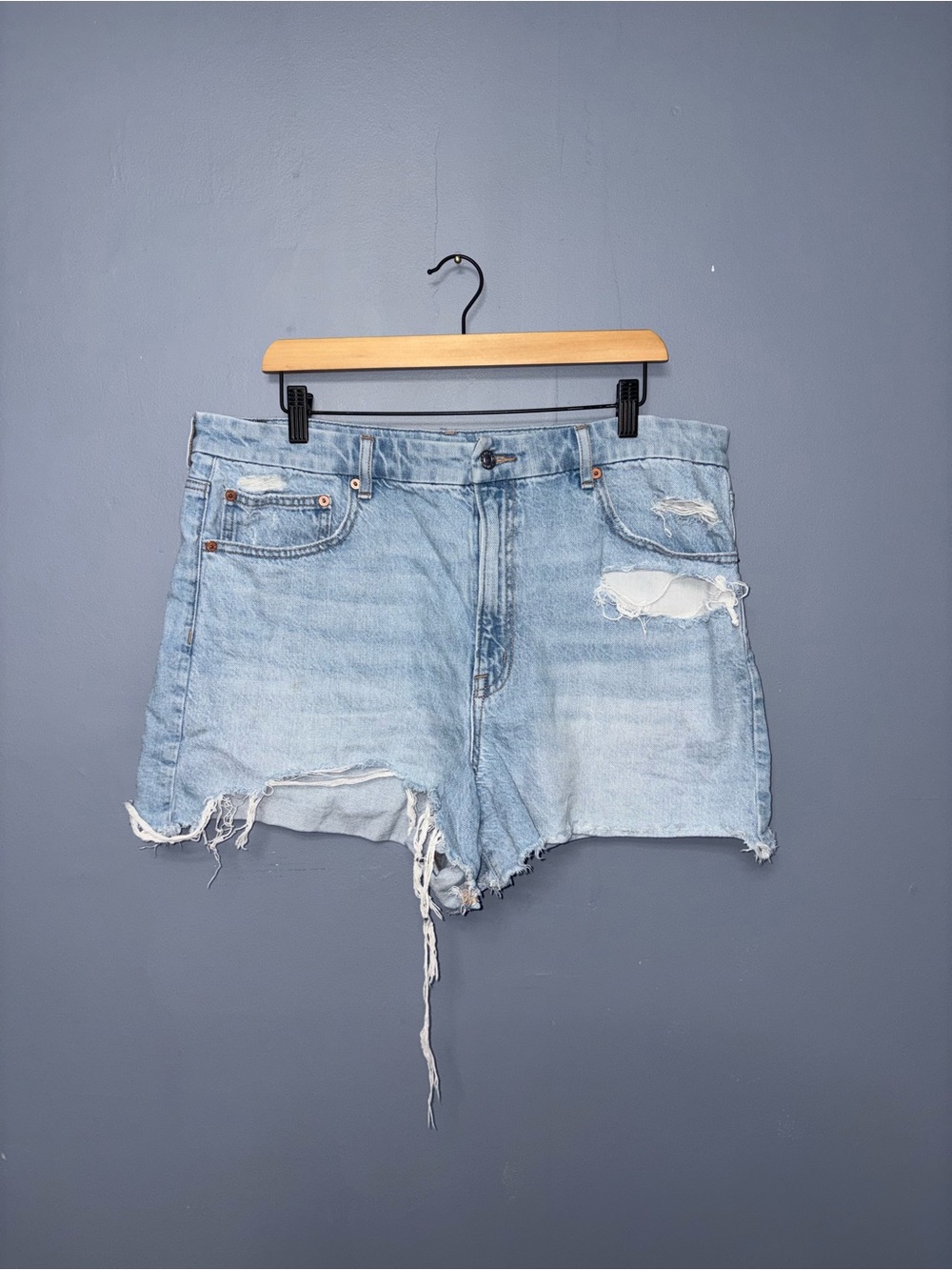 American Eagle | Distressed Jean Shorts